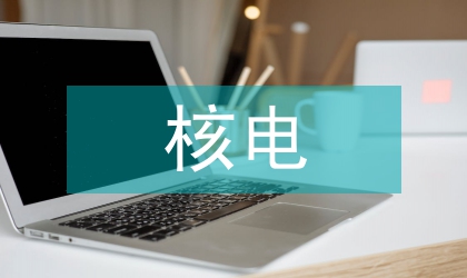 核電廠預算管理探索