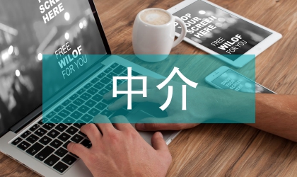 “紅頂中介”檢查自查報告