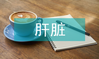 三維肝臟內部可視化研究