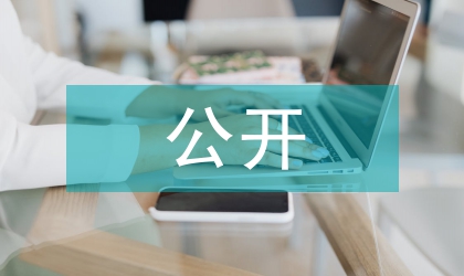 政府公開(kāi)穩(wěn)步推進(jìn)黨務(wù)策略