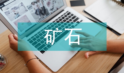 稀土礦石工藝構(gòu)建研討