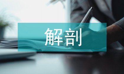 解剖學的論文