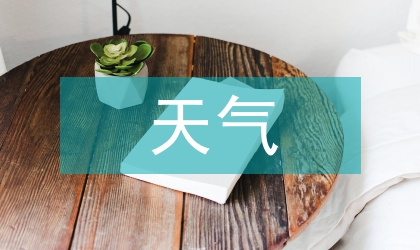 大到暴雨天氣過程案例分析
