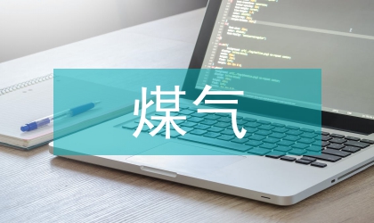 煤氣調研報告