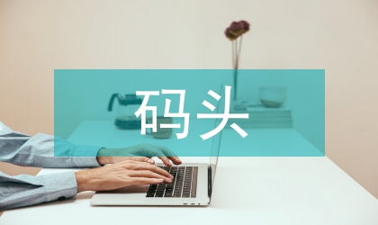 復(fù)雜碼頭基礎(chǔ)施工工藝