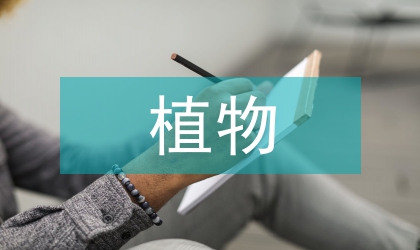水生植物濕地生態恢復研究
