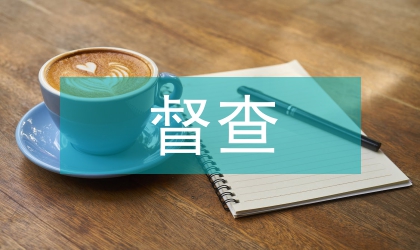 進一步加強督查工作管治意見