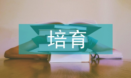 點對點培育工作會議書記講話