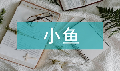 小魚教案