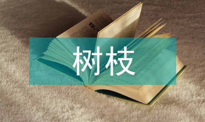 桉樹(shù)枝丫材壓縮特性的試驗(yàn)