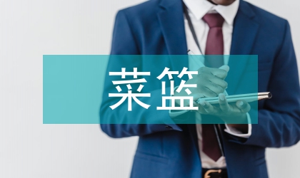 地區(qū)菜籃子項目情況報告