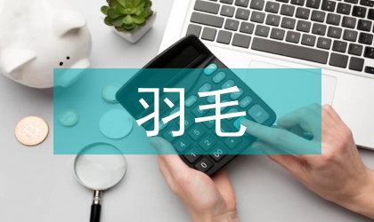 羽毛球愛好者的消費行為論文