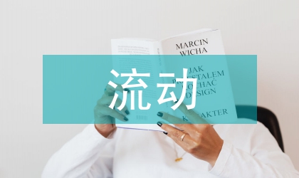流動(dòng)資產(chǎn)管理論文