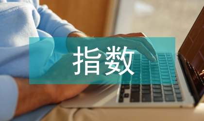 指數基金的業績分析