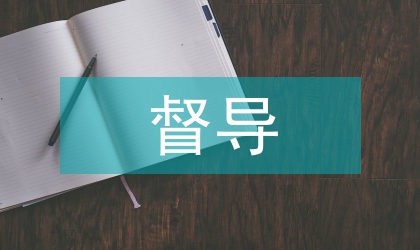 督導檢查整治工作計劃