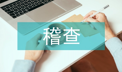 統計局稽查管理計劃