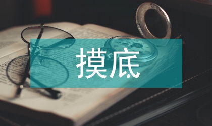 人口普查摸底情況匯報