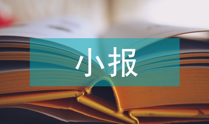 小報大辦在實踐中的應用