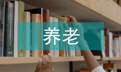 個人養(yǎng)老指導(dǎo)現(xiàn)狀與發(fā)展方向