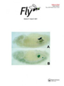 Fly雜志