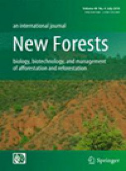 New Forests雜志