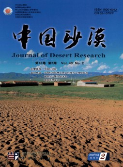 中國沙漠