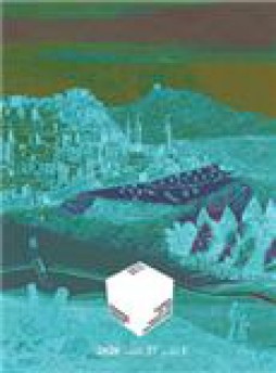 Metu Journal Of The Faculty Of Architecture雜志
