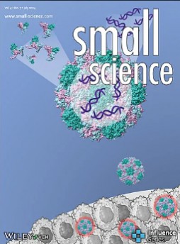 Small Science雜志