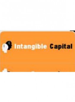Intangible Capital雜志