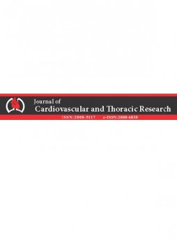 Journal Of Cardiovascular And Thoracic Research雜志