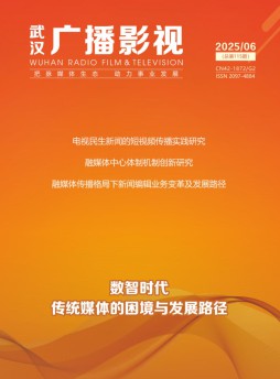 武漢廣播影視雜志